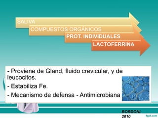 SALIVA
COMPUESTOS ORGÁNICOS
PROT. INDIVIDUALES
LACTOFERRINA
- Proviene de Gland, fluido crevicular, y de
leucocitos.
- Estabiliza Fe.
- Mecanismo de defensa - Antimicrobiana
BORDONI.
2010
 