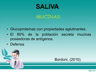 MUCINAS
• Glucoproteínas con propiedades aglutinantes.
• El 80% de la población secreta mucinas
poseedoras de antígenos.
• Defensa
Bordoni, (2010).
SALIVA
 