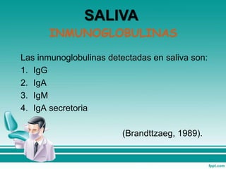 INMUNOGLOBULINAS
Las inmunoglobulinas detectadas en saliva son:
1. IgG
2. IgA
3. IgM
4. IgA secretoria
(Brandttzaeg, 1989).
SALIVA
 