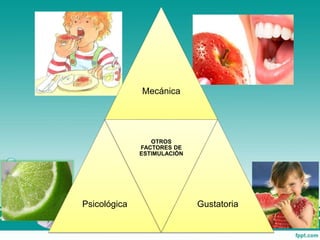 Mecánica
Psicológica
OTROS
FACTORES DE
ESTIMULACIÓN
Gustatoria
 