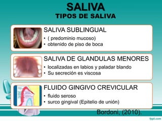 SALIVA SUBLINGUAL
• ( predominio mucoso)
• obtenido de piso de boca
SALIVA DE GLANDULAS MENORES
• localizadas en labios y paladar blando
• Su secreción es viscosa
FLUIDO GINGIVO CREVICULAR
• fluido seroso
• surco gingival (Epitelio de unión)
Bordoni, (2010).
 