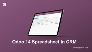 www.cybrosys.com
Odoo 14 Spreadsheet In CRM
 