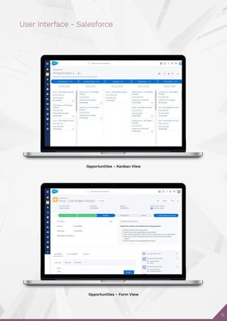 13
User Interface - Salesforce
Opportunities - Kanban View
Opportunities - Form View
 