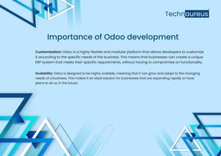 Odoo Development - Technaureus | PDF