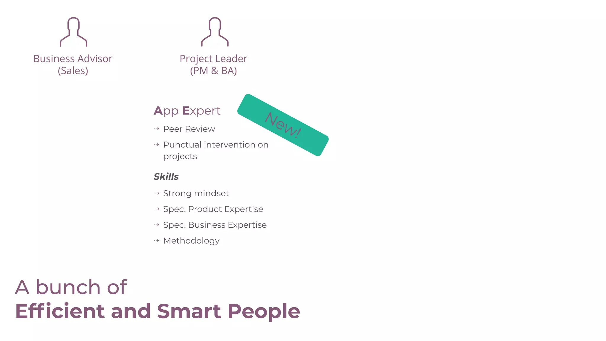 Business Advisor
(Sales)
App Expert
⇢ Peer Review
⇢ Punctual intervention on
projects
Skills
⇢ Strong mindset
⇢ Spec. Product Expertise
⇢ Spec. Business Expertise
⇢ Methodology
Project Leader
(PM & BA)
A bunch of
Efﬁcient and Smart People
New!
 