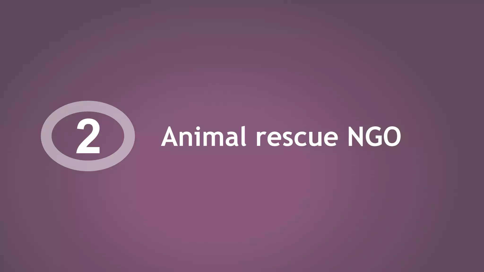 Animal rescue NGO2
 