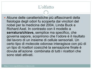 L’olfatto
 Alcune delle caratteristiche più affascinanti della
fisiologia degli odori fu scoperta dai vincitori del
nobel per la medicina del 2004, Linda Buck e
Richard Axel. In contrasto con il modello a
serratura/chiave, semplice ma specifico, che
governa sapore, scoprirono che l’odore è il risultato
del lavoro di un insieme di cellule sensoriali. Un
certo tipo di molecole odorose interagisce con più di
un tipo di ricettori cosicché la sensazione finale è
dovuta all’azione combinata di tutti i ricettori che
sono stati attivati.
https:// www.unpodichimica.wordpress.com
 