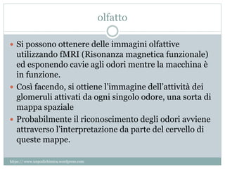 olfatto
 Si possono ottenere delle immagini olfattive
utilizzando fMRI (Risonanza magnetica funzionale)
ed esponendo cavie agli odori mentre la macchina è
in funzione.
 Così facendo, si ottiene l’immagine dell’attività dei
glomeruli attivati da ogni singolo odore, una sorta di
mappa spaziale
 Probabilmente il riconoscimento degli odori avviene
attraverso l’interpretazione da parte del cervello di
queste mappe.
https:// www.unpodichimica.wordpress.com
 