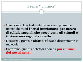 I sensi “ chimici”
 Osservando le schede relative ai sensi possiamo
notare che tutti i sensi funzionano per mezzo
di cellule speciali che raccolgono gli stimoli e
inviano messaggi al cervello
 Due sensi, gusto e olfatto, rilevano direttamente le
molecole
 Potremmo quindi etichettarli come i più chimici
dei nostri sensi
https:// www.unpodichimica.wordpress.com
 