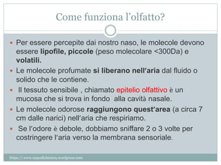Come funziona l’olfatto?
 Per essere percepite dai nostro naso, le molecole devono
essere lipofile, piccole (peso molecolare <300Da) e
volatili.
 Le molecole profumate si liberano nell’aria dal fluido o
solido che le contiene.
 Il tessuto sensibile , chiamato epitelio olfattivo è un
mucosa che si trova in fondo alla cavità nasale.
 Le molecole odorose raggiungono quest’area (a circa 7
cm dalle narici) nell’aria che respiriamo.
 Se l’odore è debole, dobbiamo sniffare 2 o 3 volte per
costringere l’aria verso la membrana sensoriale.
https:// www.unpodichimica.wordpress.com
 