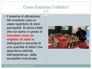 Come funziona l’olfatto?
 Il sistema di attivazione
del recettore crea un
vasto repertorio di odori
percepibili. Si stima infatti
che noi siamo in grado di
ricordare circa un
migliaio di odori e
distinguerli a seconda di
una quantità di fattori che
dipendono dell’età,
dall’esperienza, dalla
sensibilità individuale.
https:// www.unpodichimica.wordpress.com
 