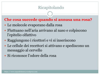 Ricapitolando
Che cosa succede quando si annusa una rosa?
 Le molecole evaporano dalla rosa
 Fluttuano nell’aria arrivano al naso e colpiscono
l’epitelio olfattivo
 Raggiungono i ricettori e vi si inseriscono
 Le cellule dei recettori si attivano e spediscono un
messaggio al cervello
 Si riconosce l’odore della rosa
https:// www.unpodichimica.wordpress.com
 