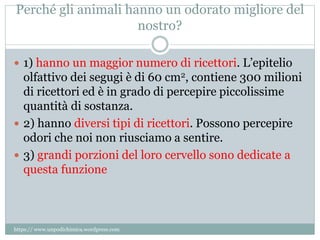 Perché gli animali hanno un odorato migliore del
nostro?
 1) hanno un maggior numero di ricettori. L’epitelio
olfattivo dei segugi è di 60 cm2, contiene 300 milioni
di ricettori ed è in grado di percepire piccolissime
quantità di sostanza.
 2) hanno diversi tipi di ricettori. Possono percepire
odori che noi non riusciamo a sentire.
 3) grandi porzioni del loro cervello sono dedicate a
questa funzione
https:// www.unpodichimica.wordpress.com
 