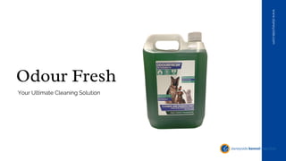 Odour Fresh
www.slaneyside.com
Your Ultimate Cleaning Solution
 