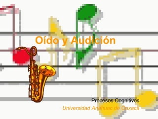 Oído y Audición
Procesos Cognitivos
Universidad Anáhuac de Oaxaca
 