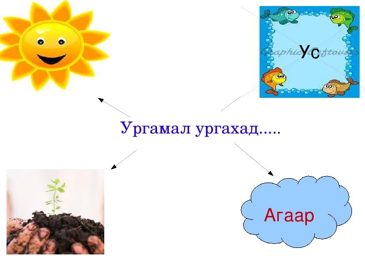 ургамал Odp