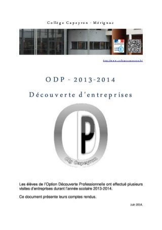 ODP3 Collège Capeyron - Découverte d'entreprises en 2013-2014