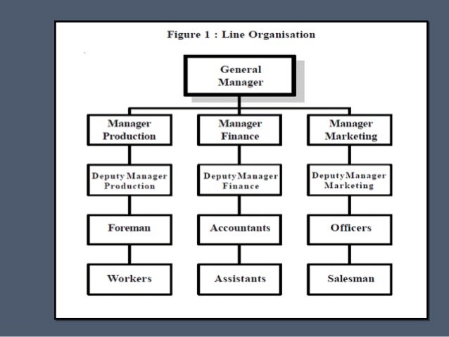 functional organizational chart