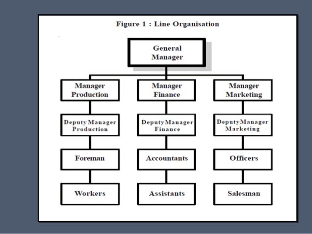 Organizational Structures (on the basis of functions & Divisions)