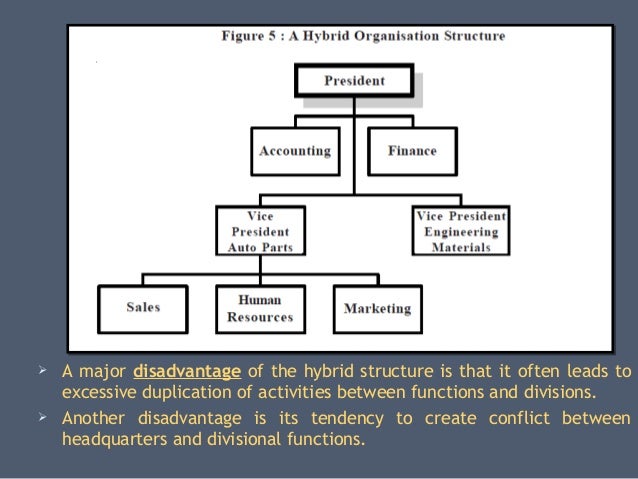 Organizational Structures (on the basis of functions 