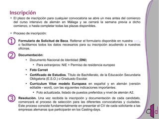 Inscripción
●
El plazo de inscripción para cualquier convocatoria se abre un mes antes del comienzo
del curso intensivo de alemán en Málaga y se cerrará la semana previa a dicho
comienzo, o hasta completar todas las plazas disponibles.
●
Proceso de inscripción:
Formulario de Solicitud de Beca. Rellenar el formulario disponible en nuestra web,
o facilitarnos todos los datos necesarios para su inscripción acudiendo a nuestras
oficinas.
Documentación:
●
Documento Nacional de Identidad (DNI)
●
Para extranjeros: NIE + Permiso de residencia europeo
●
Foto Carnet
●
Certificado de Estudios. Título de Bachillerato, de la Educación Secundaria
Obligatoria (E.S.O.) o Graduado Escolar.
●
Currículum Vitae modelo Europass en español y en alemán (versión
editable - word), con las siguientes indicaciones importantes:
●
Foto actualizada, listado de puestos preferidos y nivel de alemán A2.
Resolución. Una vez recibida la inscripción y documentación de cada candidato,
comenzará el proceso de selección para las diferentes convocatorias y ciudades.
Este proceso consiste fundamentalmente en presentar el CV de cada solicitante a las
empresas alemanas que participarán en los Casting-days.
 