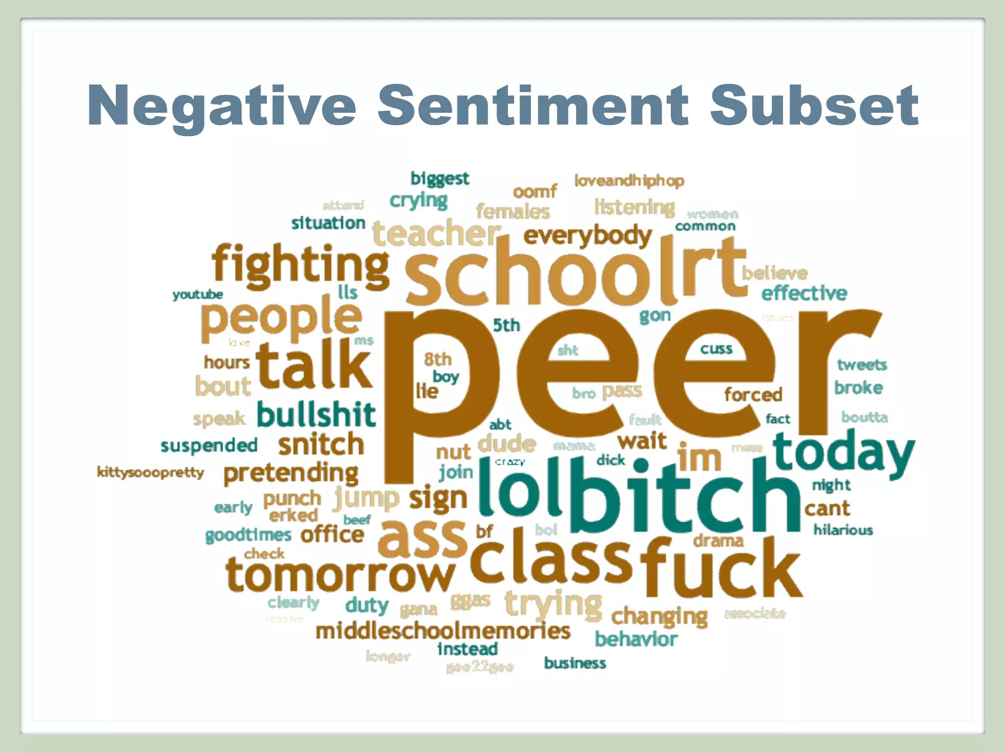 Negative Sentiment Subset
 