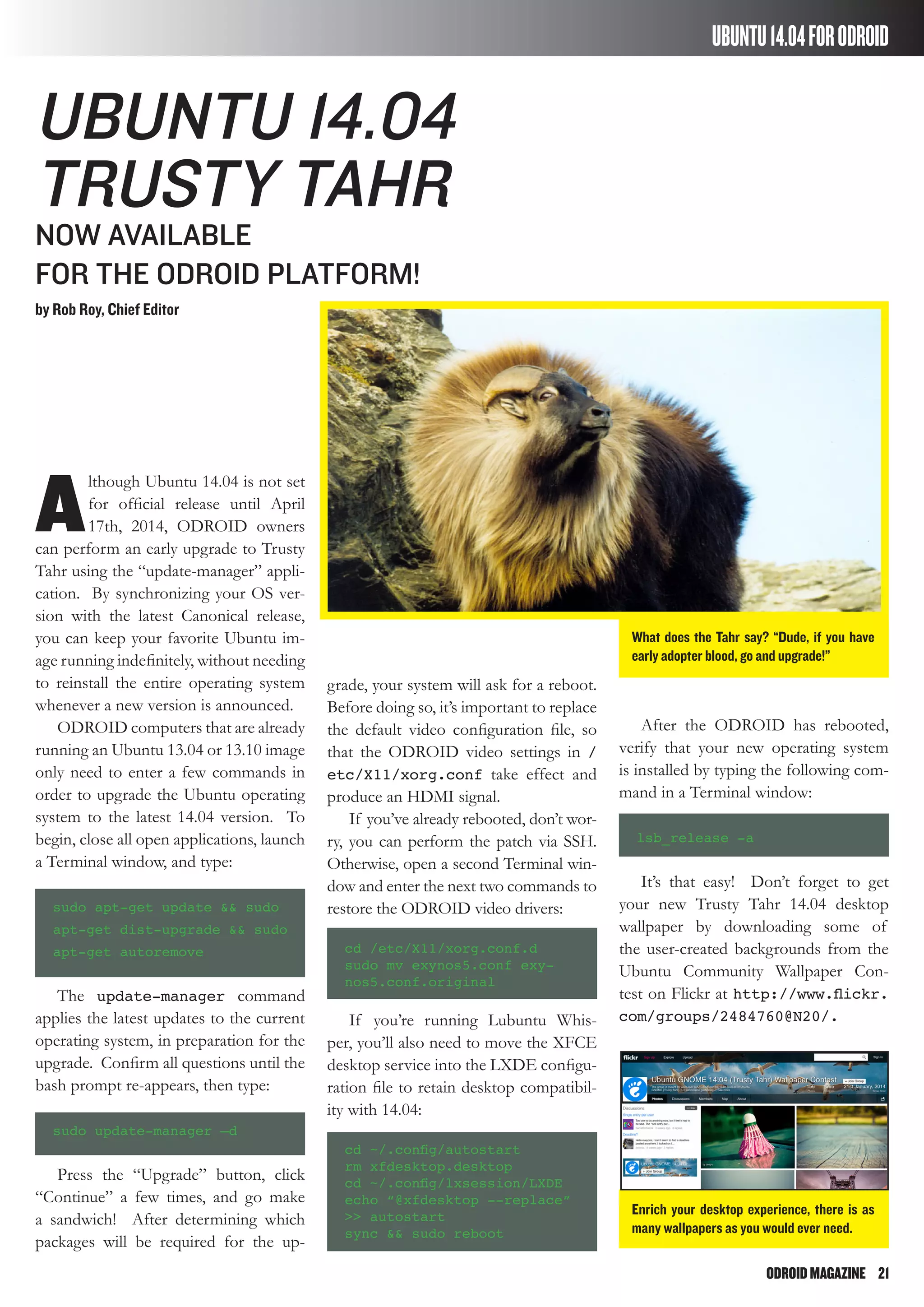 ODROIDMAGAZINE	 21
UBUNTU14.04FORODROID
What does the Tahr say? “Dude, if you have
early adopter blood, go and upgrade!”
Enrich your desktop experience, there is as
many wallpapers as you would ever need.
A
lthough Ubuntu 14.04 is not set
for official release until April
17th, 2014, ODROID owners
can perform an early upgrade to Trusty
Tahr using the “update-manager” appli-
cation. By synchronizing your OS ver-
sion with the latest Canonical release,
you can keep your favorite Ubuntu im-
age running indefinitely, without needing
to reinstall the entire operating system
whenever a new version is announced.
ODROID computers that are already
running an Ubuntu 13.04 or 13.10 image
only need to enter a few commands in
order to upgrade the Ubuntu operating
system to the latest 14.04 version. To
begin, close all open applications, launch
a Terminal window, and type:
sudo apt-get update && sudo
apt-get dist-upgrade && sudo
apt-get autoremove
The update-manager command
applies the latest updates to the current
operating system, in preparation for the
upgrade. Confirm all questions until the
bash prompt re-appears, then type:
sudo update-manager –d
Press the “Upgrade” button, click
“Continue” a few times, and go make
a sandwich! After determining which
packages will be required for the up-
Ubuntu 14.04
Trusty Tahr
now available
for the ODROID platform!
by Rob Roy, Chief Editor
grade, your system will ask for a reboot.
Before doing so, it’s important to replace
the default video configuration file, so
that the ODROID video settings in /
etc/X11/xorg.conf take effect and
produce an HDMI signal.
If you’ve already rebooted, don’t wor-
ry, you can perform the patch via SSH.
Otherwise, open a second Terminal win-
dow and enter the next two commands to
restore the ODROID video drivers:
cd /etc/X11/xorg.conf.d
sudo mv exynos5.conf exy-
nos5.conf.original
If you’re running Lubuntu Whis-
per, you’ll also need to move the XFCE
desktop service into the LXDE configu-
ration file to retain desktop compatibil-
ity with 14.04:
cd ~/.config/autostart
rm xfdesktop.desktop
cd ~/.config/lxsession/LXDE
echo “@xfdesktop --replace”
>> autostart
sync && sudo reboot
After the ODROID has rebooted,
verify that your new operating system
is installed by typing the following com-
mand in a Terminal window:
lsb_release -a
It’s that easy! Don’t forget to get
your new Trusty Tahr 14.04 desktop
wallpaper by downloading some of
the user-created backgrounds from the
Ubuntu Community Wallpaper Con-
test on Flickr at http://www.flickr.
com/groups/2484760@N20/.
 
