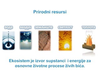 Održivi razvoj | PPTX