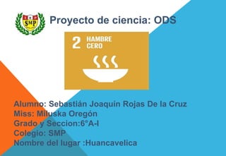 Proyecto de ciencia: ODS
Alumno: Sebastián Joaquín Rojas De la Cruz
Miss: Miluska Oregón
Grado y Seccion:6°A-I
Colegio: SMP
Nombre del lugar :Huancavelica
 