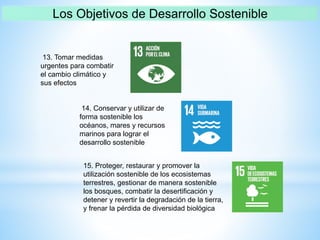 13. Tomar medidas
urgentes para combatir
el cambio climático y
sus efectos
14. Conservar y utilizar de
forma sostenible los
océanos, mares y recursos
marinos para lograr el
desarrollo sostenible
15. Proteger, restaurar y promover la
utilización sostenible de los ecosistemas
terrestres, gestionar de manera sostenible
los bosques, combatir la desertificación y
detener y revertir la degradación de la tierra,
y frenar la pérdida de diversidad biológica
 