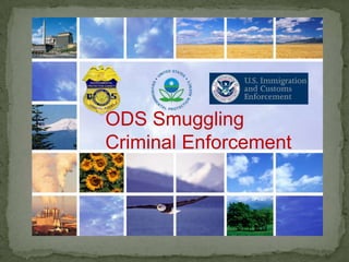 ODS Smuggling Criminal Enforcement 