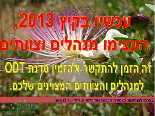 ‫למנהיגות‬ ‫במרכז‬‫בשמורת‬‫קדומים‬ ‫נאות‬ ‫הטבע‬,(‫שמן‬ ‫בן‬ ‫יער‬ ‫ליד‬)
 