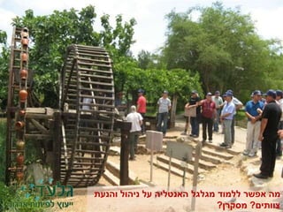 ‫והנעת‬ ‫ניהול‬ ‫על‬ ‫האנטליה‬ ‫מגלגל‬ ‫ללמוד‬ ‫אפשר‬ ‫מה‬
‫צוותים‬?‫מסקרן‬?
 