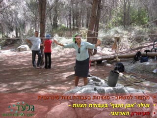 •‫למשאב‬ ‫מהבור‬-‫סינרגטית‬ ‫צוות‬ ‫בעבודת‬ ‫מצוינות‬
•‫וגילוי‬'‫הנגף‬ ‫אבן‬'‫הצוות‬ ‫בעבודת‬-
•‫העיוורון‬‫הארגוני‬.
 