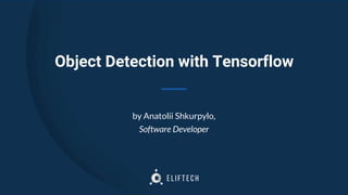 Object Detection with Tensorflow
by Anatolii Shkurpylo,
Software Developer
 