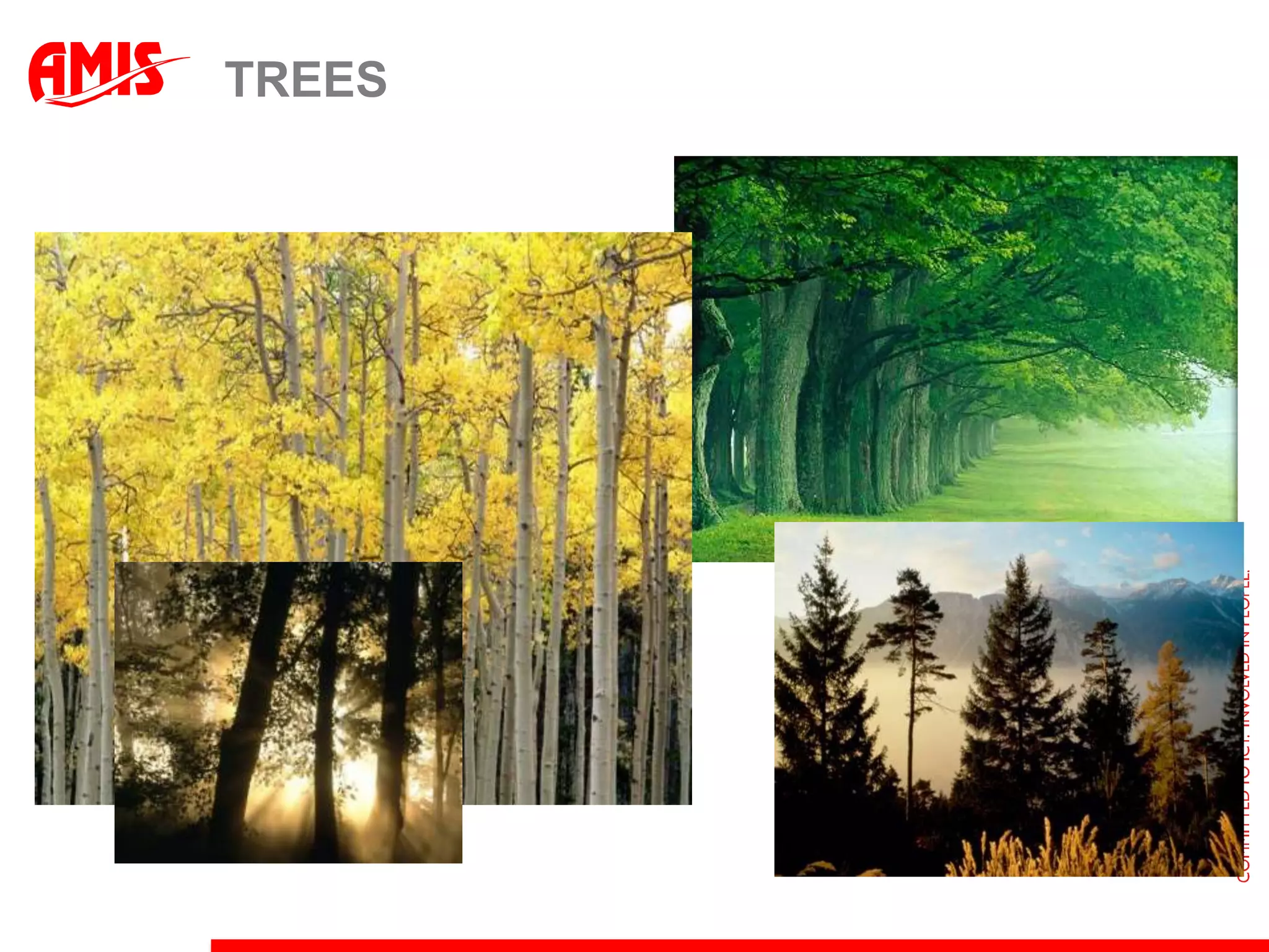 Employee Version-history with Flashback Query