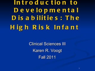 Introduction to Developmental Disabilities: The High Risk Infant   ,[object Object],[object Object],[object Object]