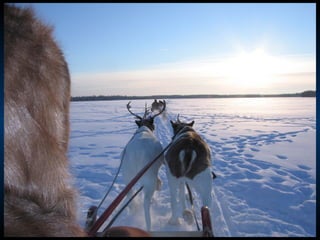 Odyssee Siberienne De Nicolas Vanier