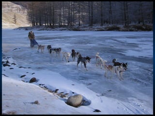 Odyssee Siberienne De Nicolas Vanier
