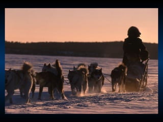 Odyssee Siberienne De Nicolas Vanier