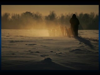 Odyssee Siberienne De Nicolas Vanier