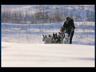 Odyssee Siberienne De Nicolas Vanier