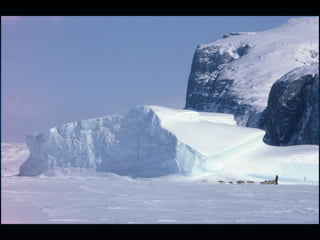Odyssee Siberienne De Nicolas Vanier
