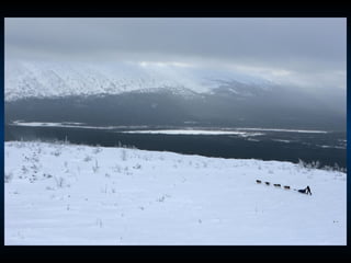 Odyssee Siberienne De Nicolas Vanier