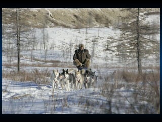 Odyssee Siberienne De Nicolas Vanier
