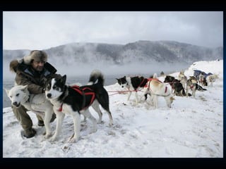 Odyssee Siberienne De Nicolas Vanier