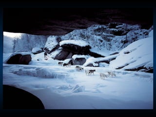 Odyssee Siberienne De Nicolas Vanier