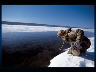 Odyssee Siberienne De Nicolas Vanier
