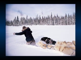 Odyssee Siberienne De Nicolas Vanier