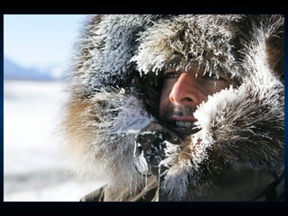 Odyssee Siberienne De Nicolas Vanier
